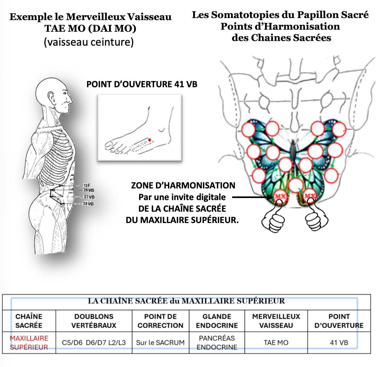 Merveilleux Vaisseau